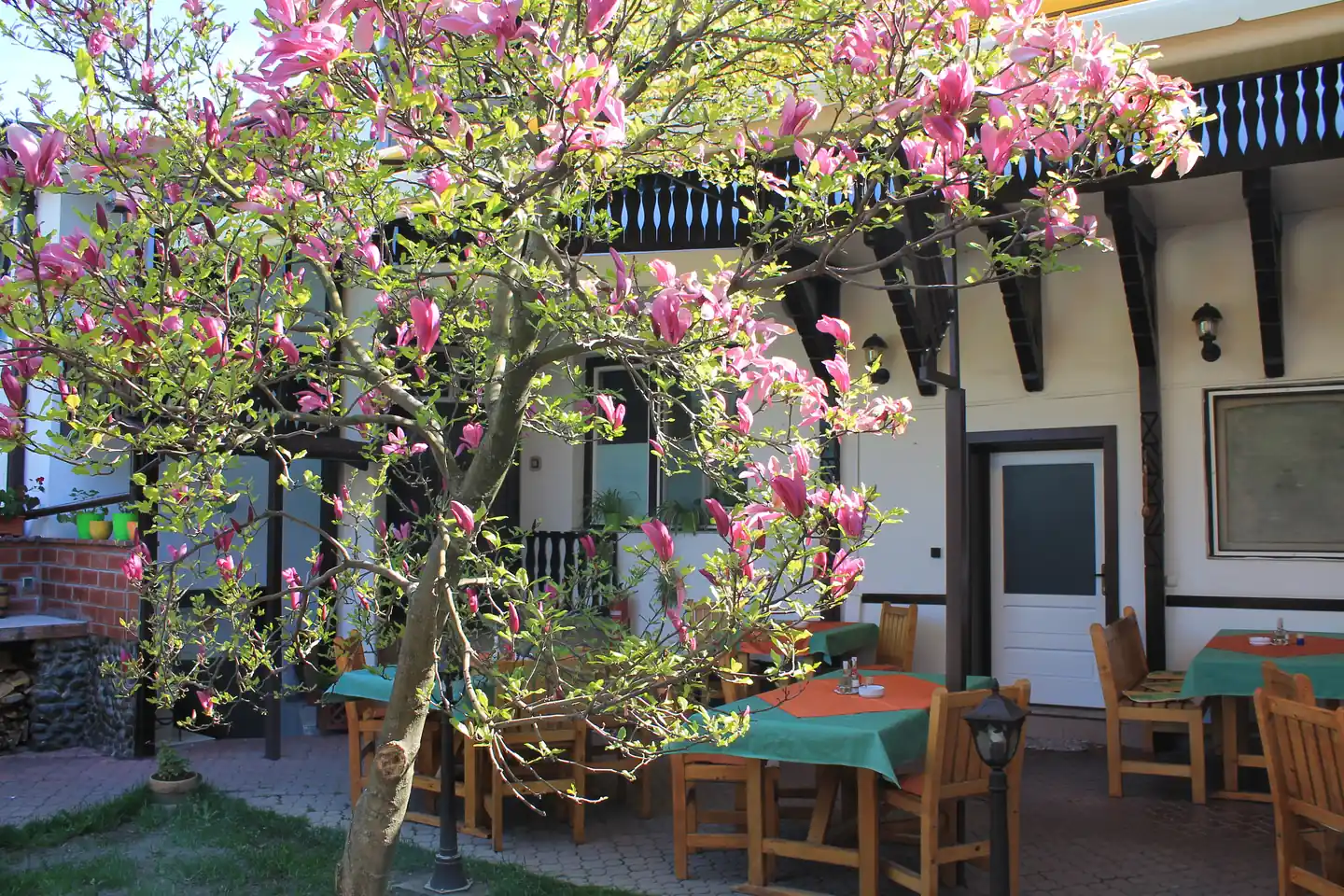 Curtea pensiunii cu magnolie înflorită